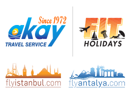 SAN TSG Travel,Transfer,Check